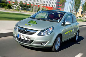 Подробно о Corsa Ecoflex 2010