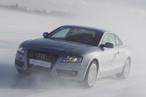 Audi создает новый полный привод