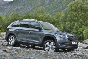 Известно с какими моторами Skoda Kodiaq появится в России